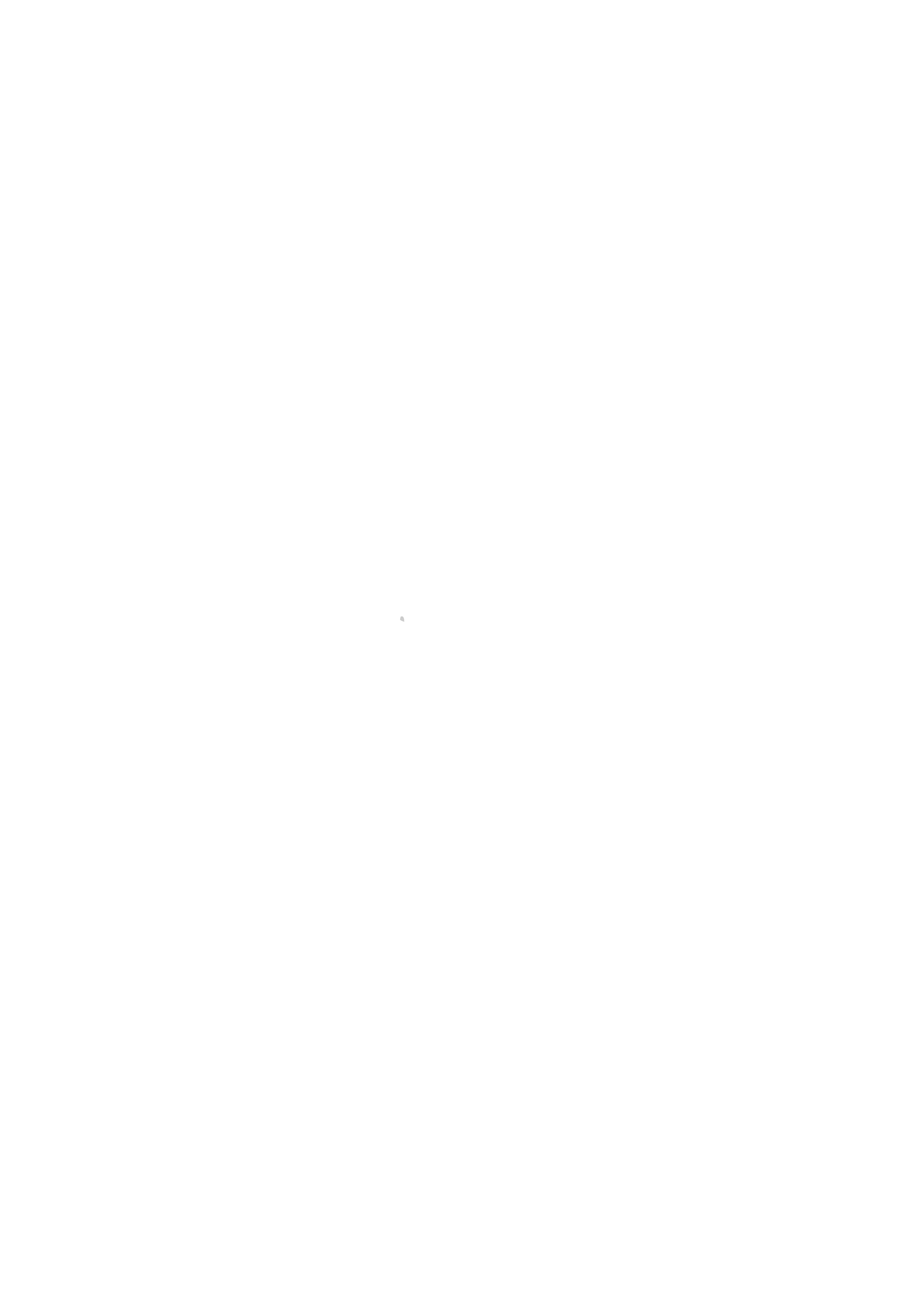 terdege zomerfair