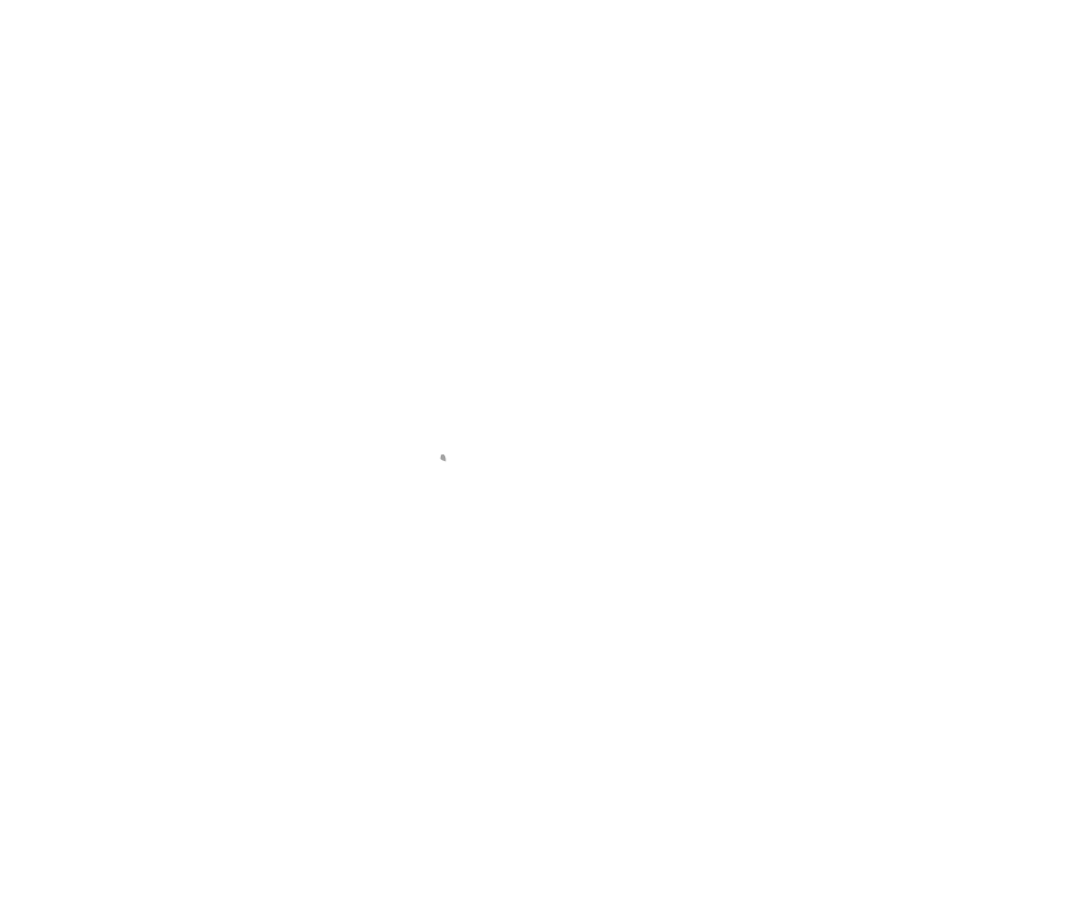 terdege zomerfair